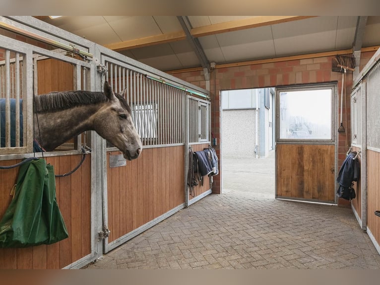 Complete Equestrian Facility with Residence and Extensive Amenities