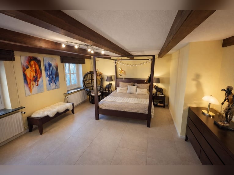 Completely renovated former farm with 3 hectares of private land, riding arena, and indoor riding ha