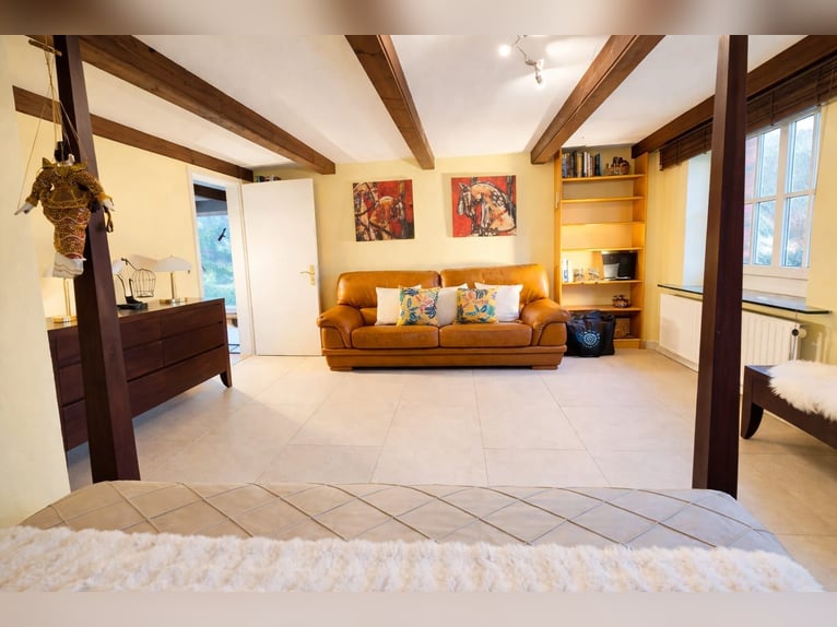 Completely renovated former farm with 3 hectares of private land, riding arena, and indoor riding ha