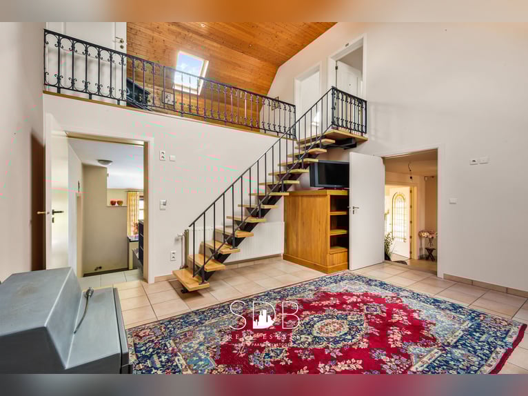 Contemporary villa with family garden and pastureland on 7,496 m² in Heusden | Belgium