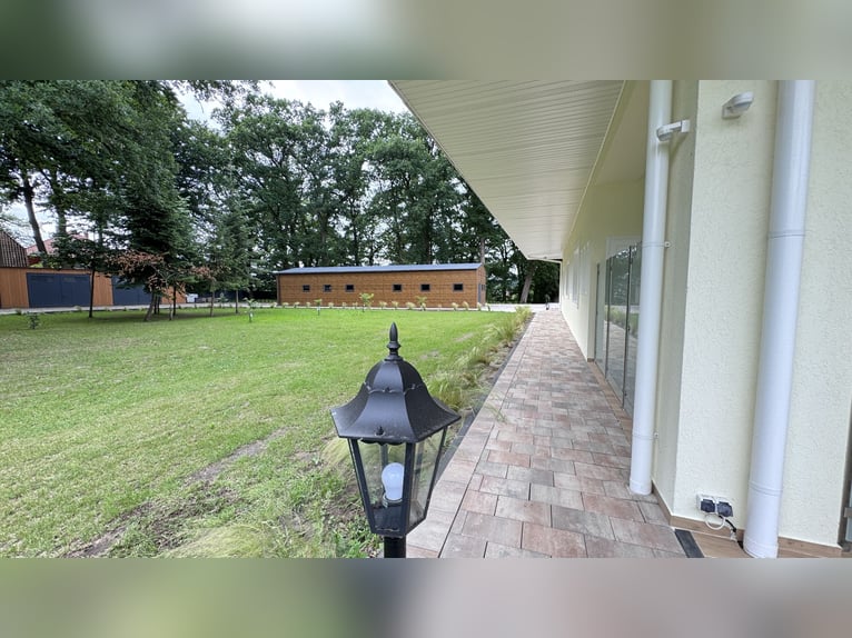 Country estate near Balge: Completely renovated villa, indoor riding arena, and stables on a 2.4-hec