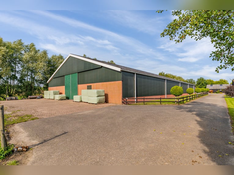 Country estate with equestrian facilities including an indoor riding arena, outdoor riding arena, an