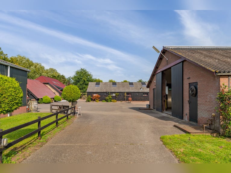 Country estate with equestrian facilities including an indoor riding arena, outdoor riding arena, an