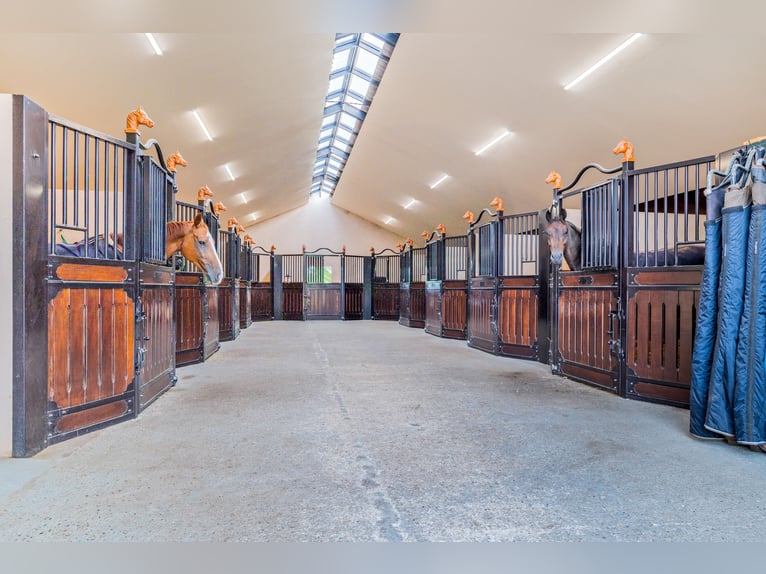 Country estate with equestrian facilities including an indoor riding arena, outdoor riding arena, an