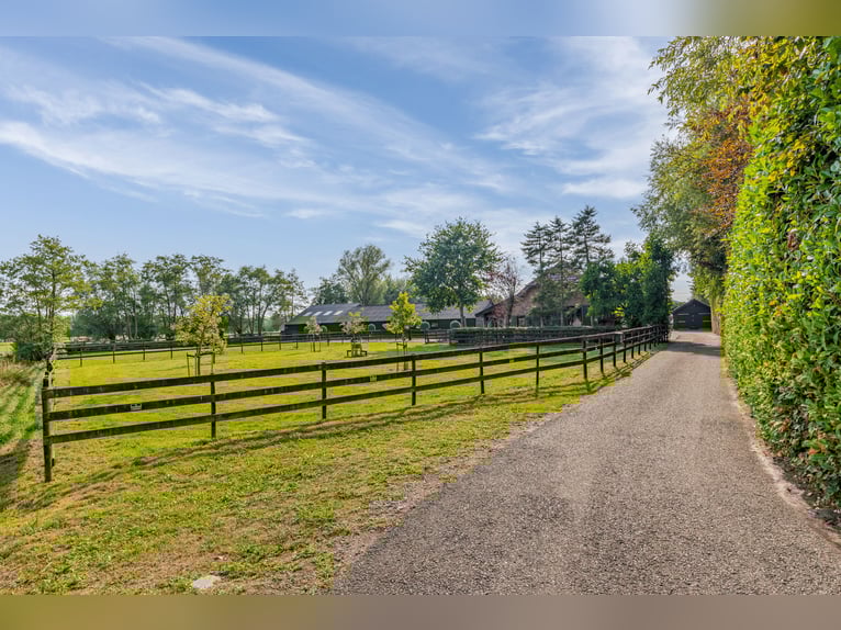Country estate with equestrian facilities including an indoor riding arena, outdoor riding arena, an