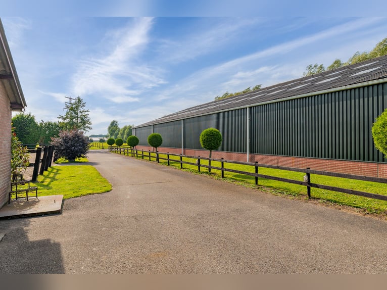 Country estate with equestrian facilities including an indoor riding arena, outdoor riding arena, an