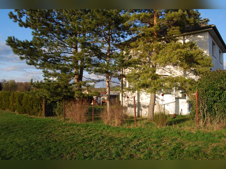 Country house in a prime location