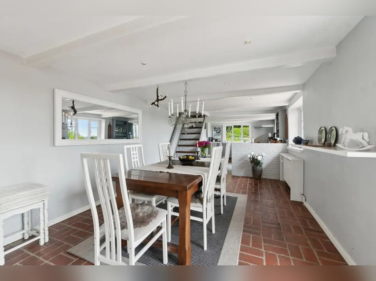 Denmark - Luxury country living with your own horses