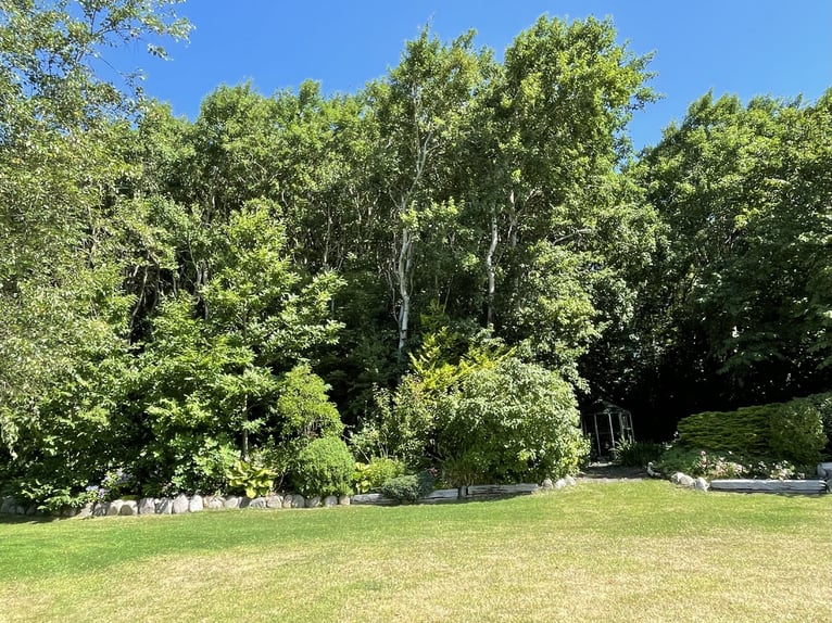 Denmark - Luxury country living with your own horses