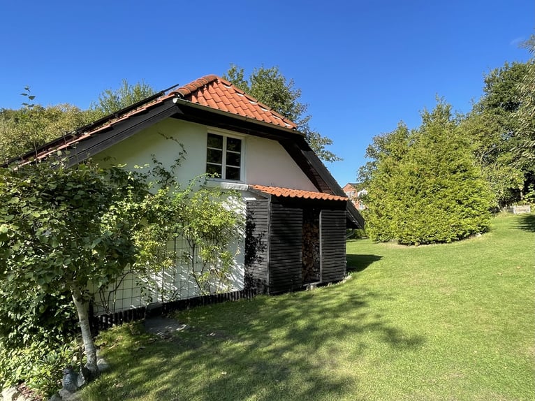 Denmark - Luxury country living with your own horses