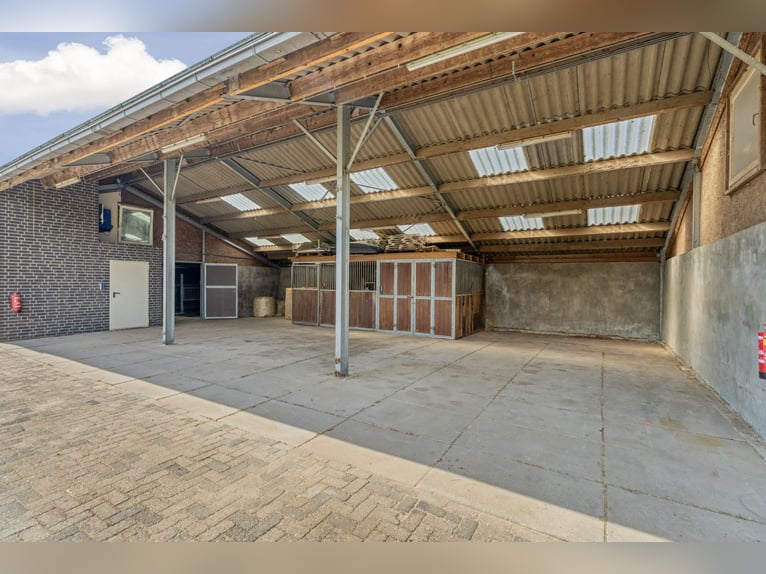 Detached property with spacious living and a high-quality, fully equipped equestrian facility