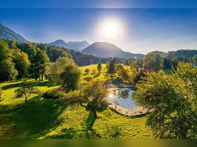 Dream estate in Southern Carinthia with exceptional development potential