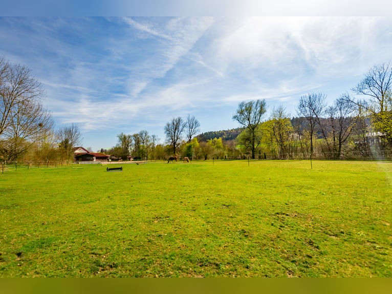 Dream farmhouse with an expanded equestrian area in Zeilarn (east of Munich), commission-free