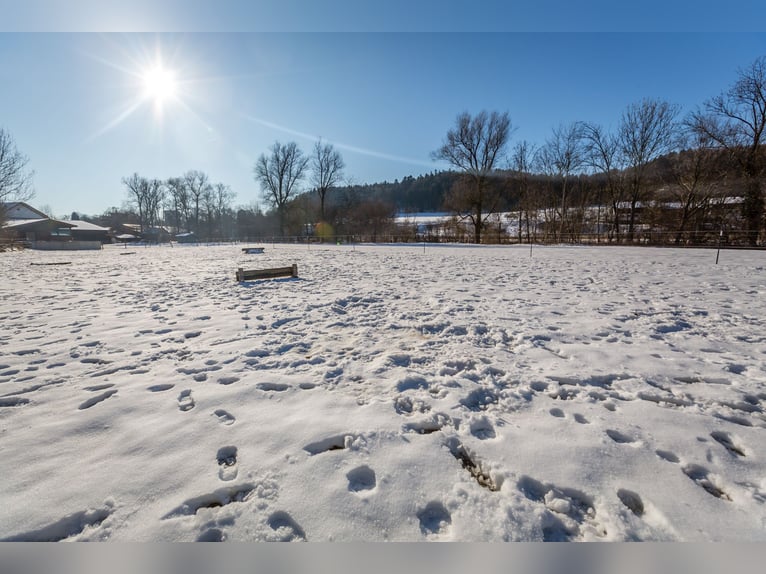 Dream farmhouse with an expanded equestrian area in Zeilarn (east of Munich), commission-free