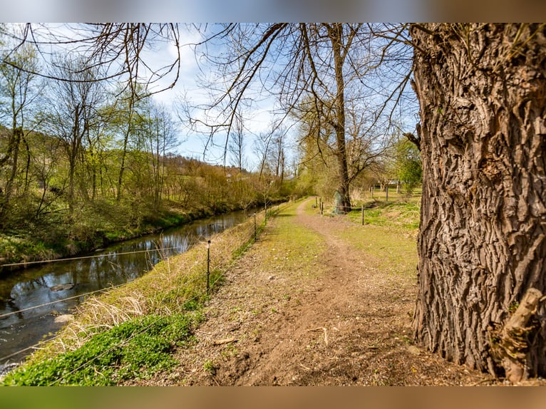 Dream farmhouse with an expanded equestrian area in Zeilarn (east of Munich), commission-free