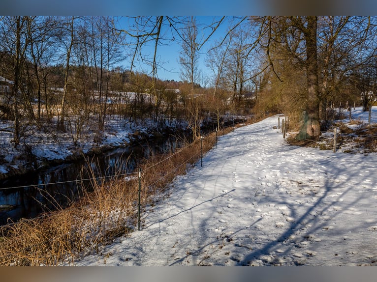 Dream farmhouse with an expanded equestrian area in Zeilarn (east of Munich), commission-free