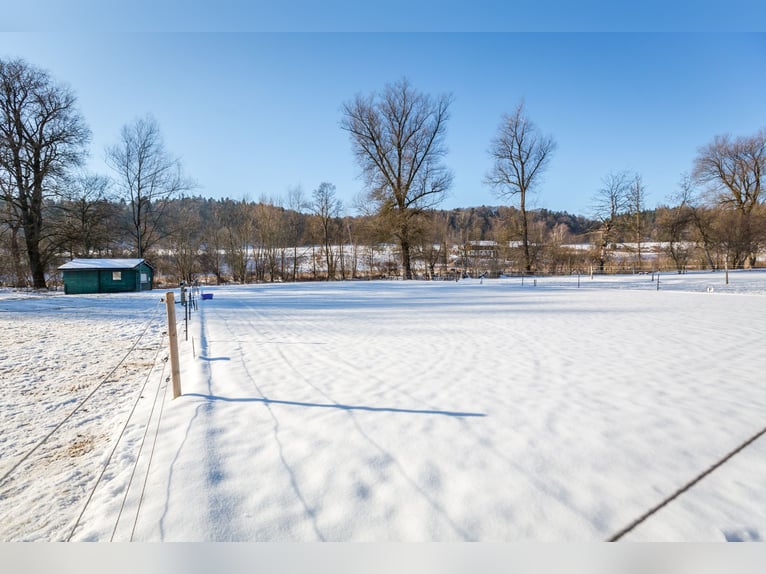 Dream farmhouse with an expanded equestrian area in Zeilarn (east of Munich), commission-free