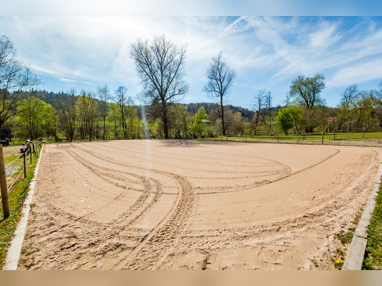 Dream farmhouse with an expanded equestrian area in Zeilarn (east of Munich), commission-free