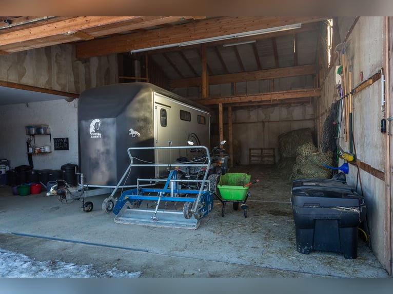 Dream farmhouse with an expanded equestrian area in Zeilarn (east of Munich), commission-free