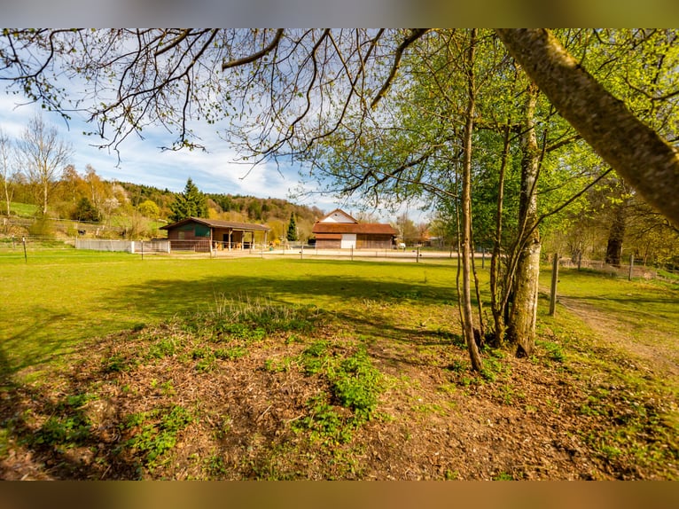 Dream farmhouse with an expanded equestrian area in Zeilarn (east of Munich), commission-free