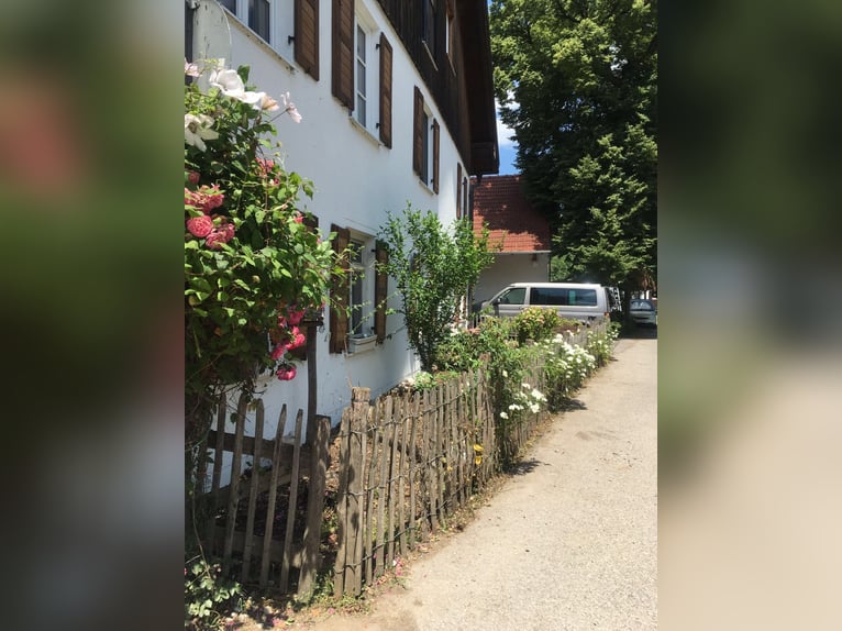 Dream Home for Horse Lovers – Condominium Located Directly at the Equestrian Farm