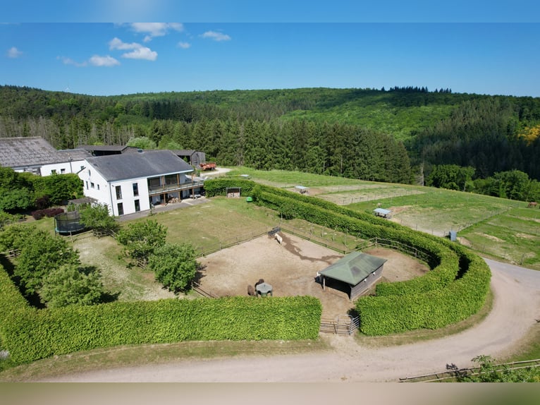 Dreamlike large riding facility in panoramic location between Trier and Luxembourg