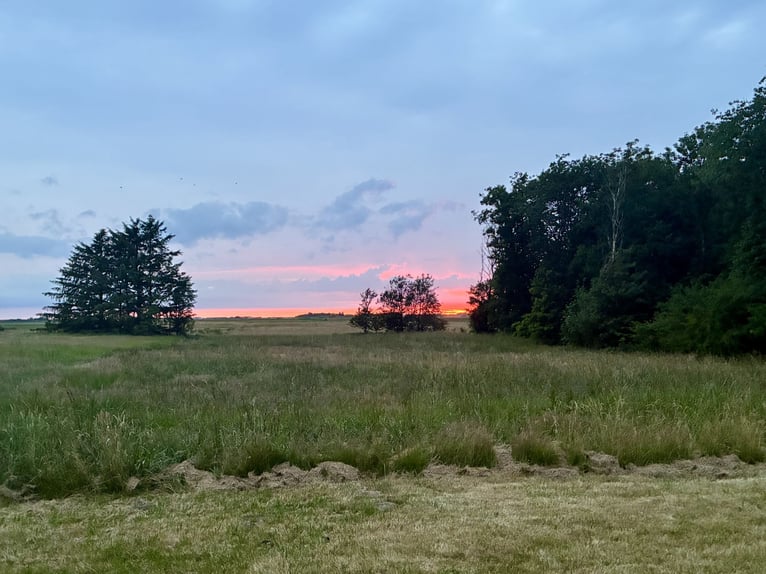 Dreamlike thatched-roof estate on 4.5 acres near Sylt
