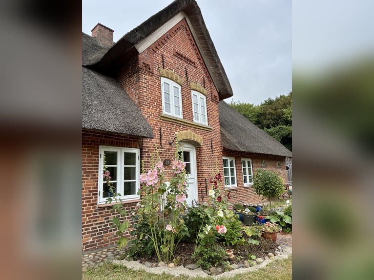 Dreamlike thatched-roof estate on 4.5 acres near Sylt