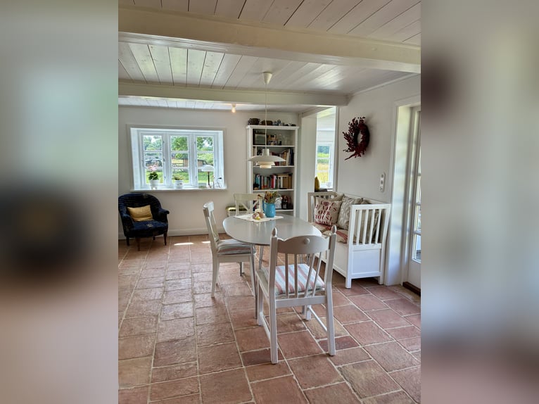 Dreamlike thatched-roof estate on 4.5 acres near Sylt