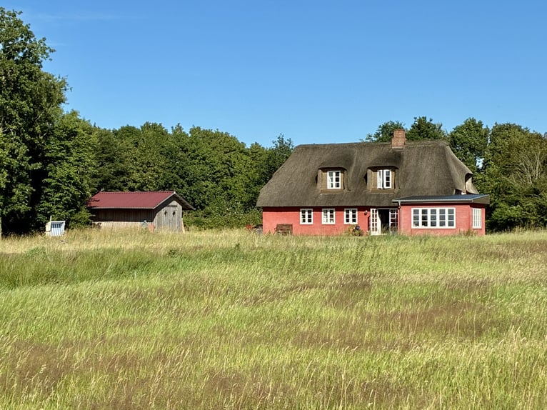 Dreamlike thatched-roof estate on 4.5 acres near Sylt