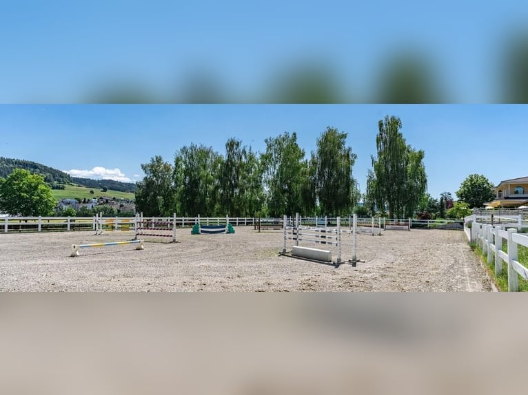 Eastern Switzerland – Exclusive equestrian facility with a Mediterranean-style villa and extensive g