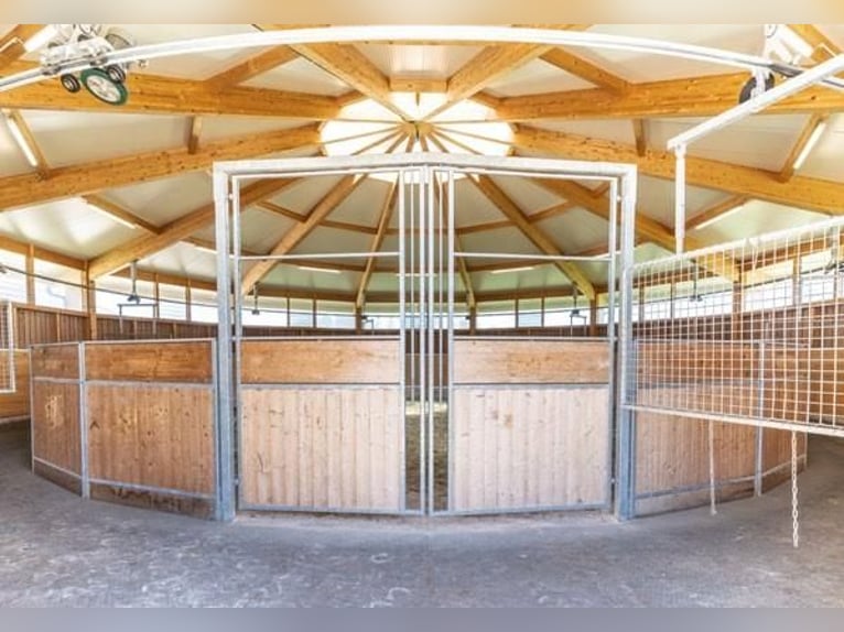 Eastern Switzerland – Exclusive equestrian facility with a Mediterranean-style villa and extensive g