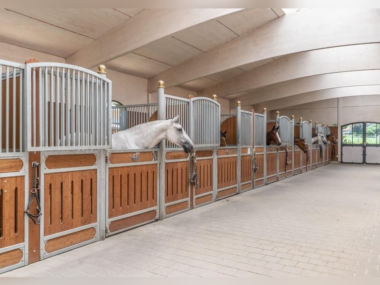 Eastern Switzerland – Exclusive equestrian facility with a Mediterranean-style villa and extensive g
