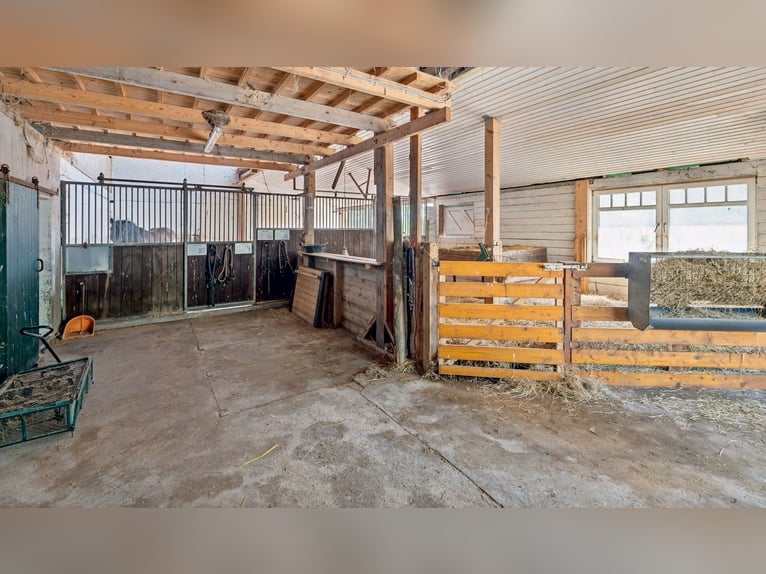 Elegantes Privatanwesen in Alleinlage für Pferdefreunde in ruhiger Lage