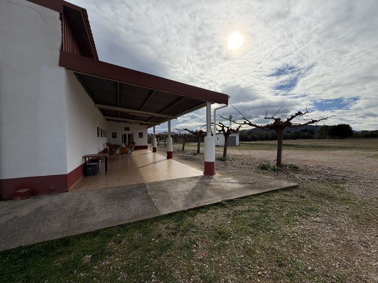 Equestrian Center in North Castellón