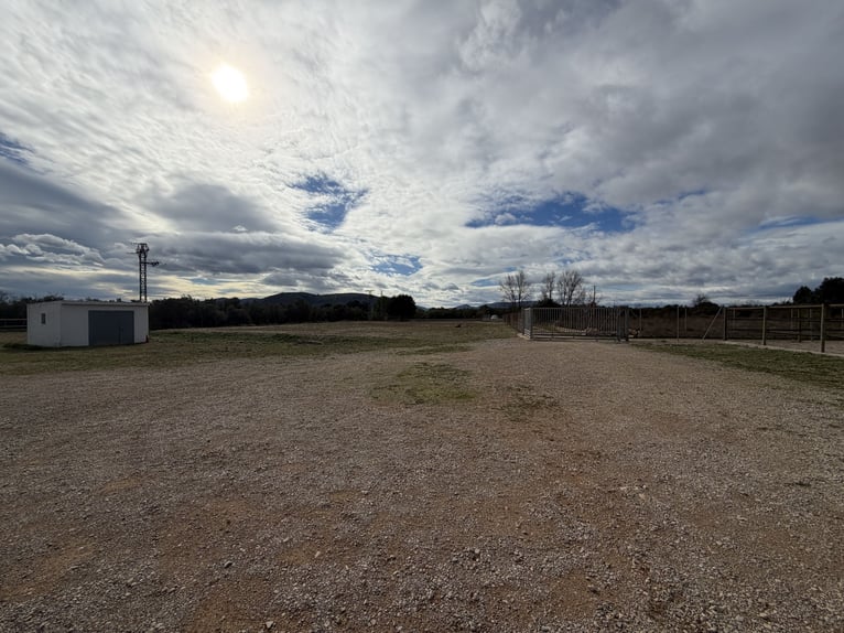 Equestrian Center in North Castellón
