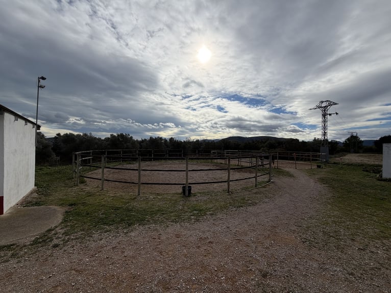Equestrian Center in North Castellón