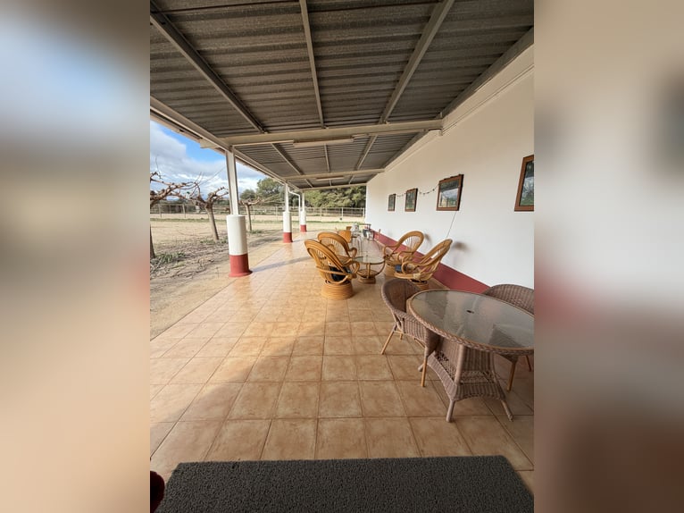 Equestrian Center in North Castellón