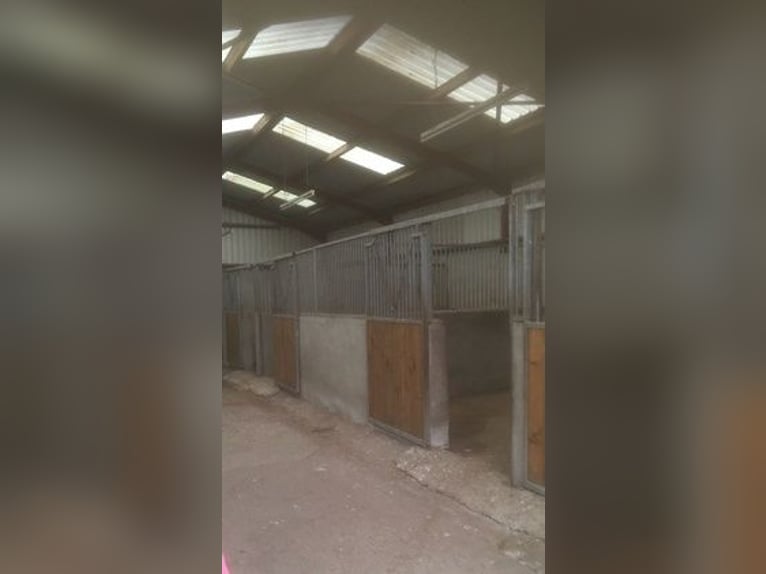 Equestrian Centres for sale in Mallow