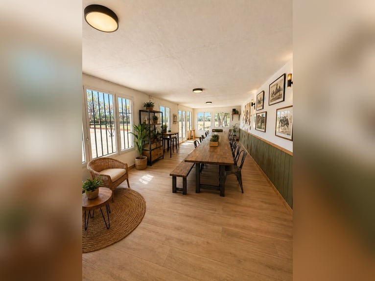 Equestrian estate located near the sea