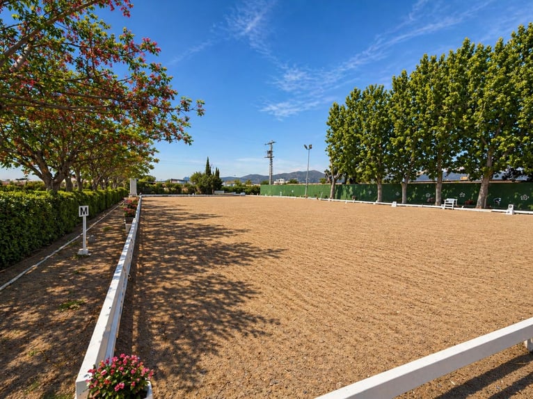 Equestrian estate located near the sea