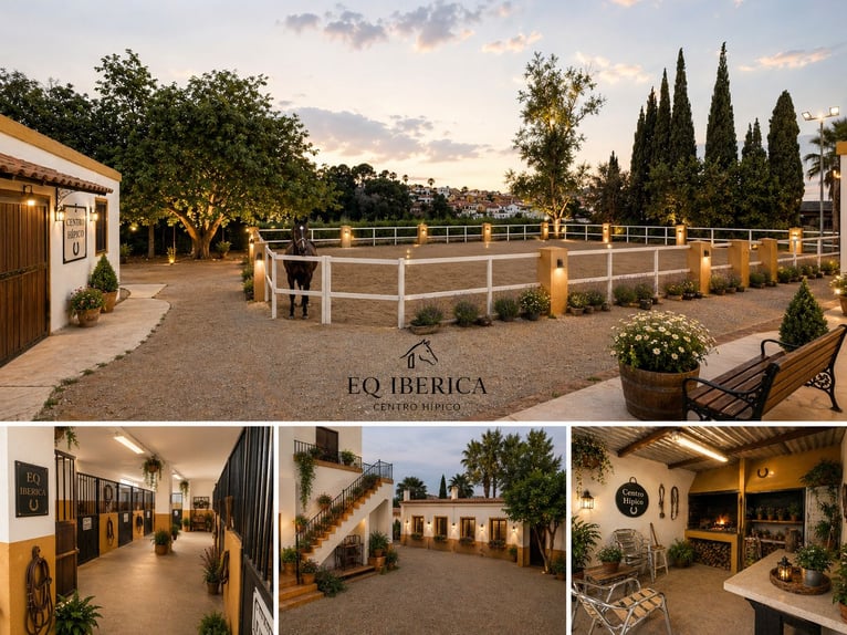 Equestrian estate of 1 hectare plus 300 m² of living space