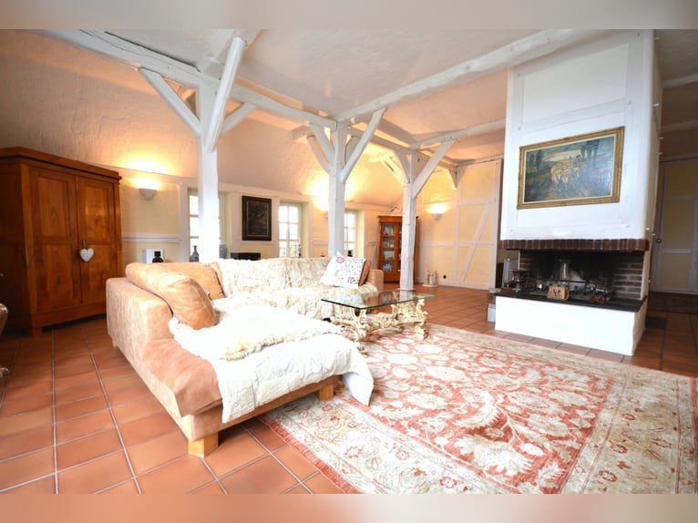 Equestrian estate on 5.7 hectares! Dream property featuring a thatched-roof house, guesthouse, and s