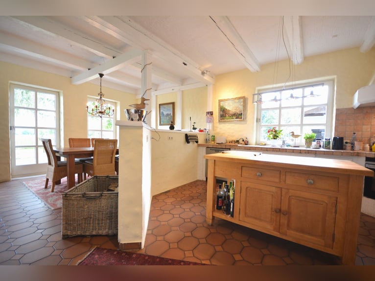 Equestrian estate on 5.7 hectares! Dream property featuring a thatched-roof house, guesthouse, and s