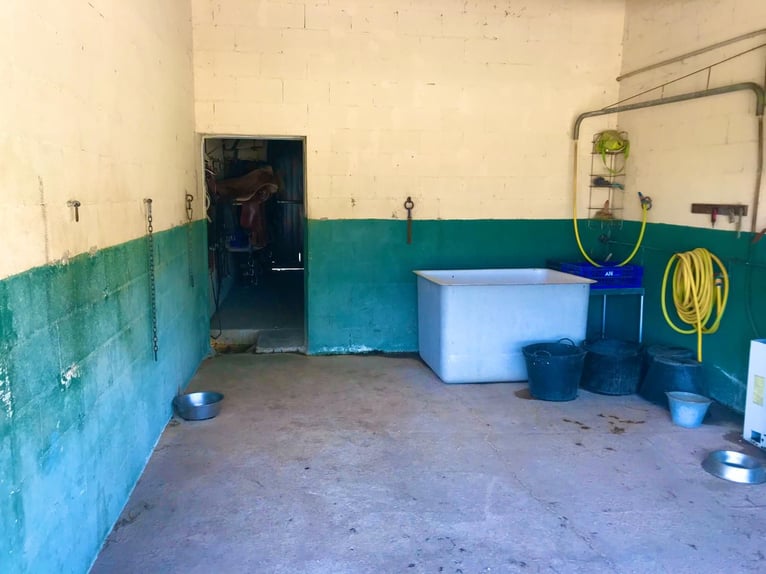 Equestrian facilities in the renowned Matarranya estate