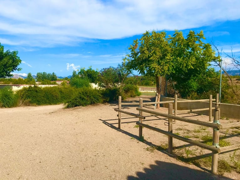 Equestrian facilities in the renowned Matarranya estate