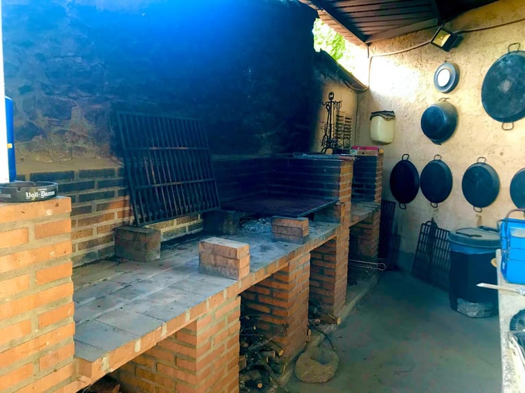 Equestrian facilities in the renowned Matarranya estate