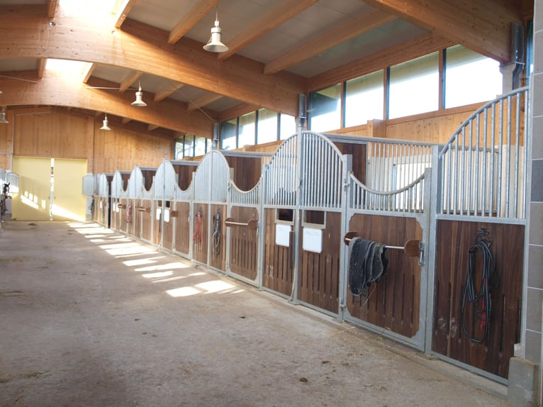 Equestrian facility by the lake