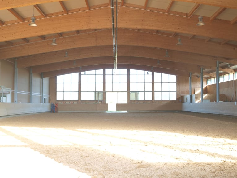 Equestrian facility by the lake