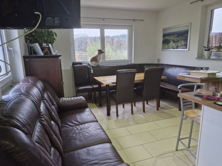 Equestrian facility by the lake